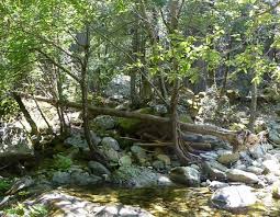 Legends of Mount Shasta: “The Abode of the Devil” Part 4 – Investigating  the Castle Crags Petroglyphs | Ancient Origins