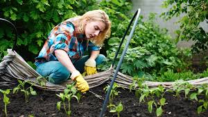 Learn how often you should water flowers in your garden by looking at the soil. How Often Should I Water My Garden Chadwicks Building Plumbing Hire Diy