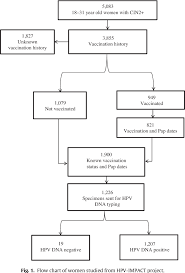 figure 1 from impact of human papillomavirus hpv