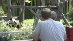 We did not find results for: Zoo Dortmund Besucher Flippen Wegen Diesem Sussem Nachwuchs Aus Derwesten De