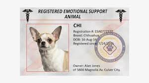 Animal Emotional Support Cat Canada Png Image Transparent Png Free Download On Seekpng