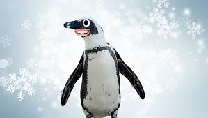 Find great deals on ebay for penguin pet. Penguin Jokes Funny Jokes On Beano Com