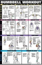 16 Shoulders Guys Muscle Charts Fitness Exercise Chart Hd