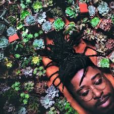 Spring is here! 25 Black-Owned Plant & Seed Stores to support.