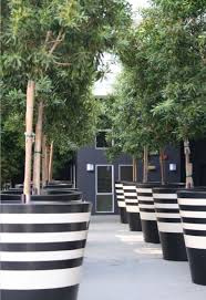 Large plant pots are the container that you can plant your plants, flower or any kind of greenery you want. Large Black Planter Ideas On Foter