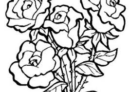 Check spelling or type a new query. Rose Coloring Pages Coloring4free Com