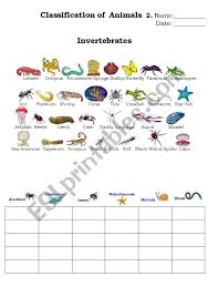 classification of animals 2 esl worksheet by beucici17