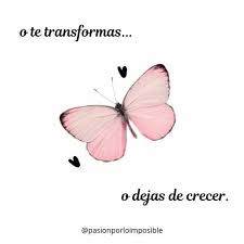 Bonitas Imagenes Con Frases De Motivacion Cortas De La Vida Con Mensajes De Fuerza Para Seguir Frases Positivas Frases Motivadoras Frases De Motivacion Cortas