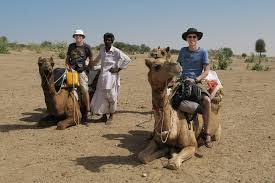 Being a desert animal, they spend most of their time traveling in desert areas and while moving in such harsh conditions, without any intake of food or water, it may cause the loss of their half. Rajasthan Camel Safari Contemporarynomad Com