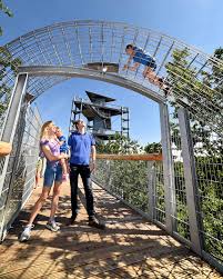 Der baumkronenpfad bietet spektakuläre aussichten, gerade auf die beelitzer heilstätten. Funf Jahre Baum Zeit Baumkronenpfad In Beelitz Heilstatten Zauche 365