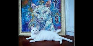 Het team van bondscoach philip mestdagh won immers na. Deaf Cat Achilles In Russia Predict The Winner Of Euro 2020 Knowinsiders