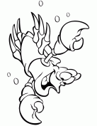 Choose the right lobster picture, download it for free and start painting! Sebastian The Lobster Coloring Page Mermaid Coloring Pages Coloring Pages Cartoon Coloring Pages
