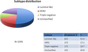 Long Term Survival And Stage I Breast Cancer Subtypes