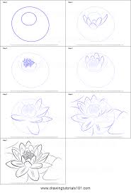 How To Draw A Water Lily Printable Step By Step Drawing Sheet Drawingtutorials101 Com Lilies Drawing Flower Drawing Tutorials Flower Drawing You'll start by establishing the skeletal structure, then move on to sketching in form, and finally adding details to create an accurate representation of a lion.