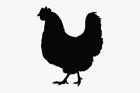 Simple Rooster Silhouette Simple Chicken Silhouette Free Transparent Clipart Clipartkey It'll will look like this: simple rooster silhouette simple