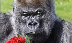 Pin On Keira S Board