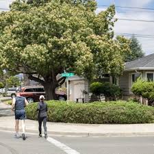 Lycamobile dealer • ultra mobile. Downtown Fremont Ca Neighborhood Guide Trulia