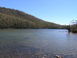 Check spelling or type a new query. Michael Mcfadyen S Scuba Diving Web Site