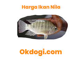 Pasalnya, ikan ini terkenal mudah dirawat agar ikan nila dapat berkembang dengan sehat dan menghasilkan panen yang berlimpah, pakan juga harus diperhatikan. Harga Pasaran Ikan Nila Terbaru 2019 Survey Langsung Okdogi Com