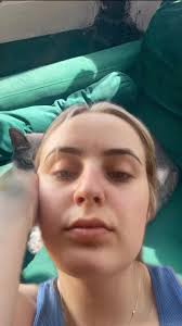 Missing Calico Cat Chicago