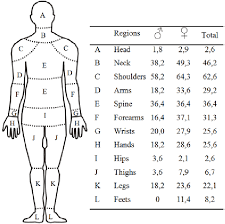 Start studying lower body diagram (a&p practical 2). Full Body Diagram Injury And Pain Diagram Base Website And Pain 9 Free Body Diagram Free Printable Download