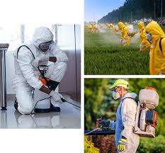 With our extensive branch network in hyderabad, a rentokil pci pest control expert is always near you. Pest Control Services Termite Control Services In Hyderabad