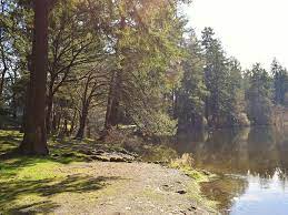 You've come to the right place. Spanaway Pest Control Experts Rambo Total Pest Control