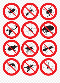 Although beautiful, the actual native plants that grow in the soils of south florida, more specifically in monroe county (i.e. Secure Fumigation Pest Control Services Pest Control Lahinch Beach Clipart 5421238 Pinclipart