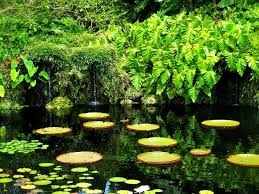 Botanical Garden Florida In 2020 Florida Gardening Botanical Gardens Fairchild Tropical Botanic Garden