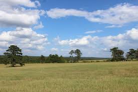 Land For Sale Search Thousands Of Properties Listed On Landhub Land For Sale Property Listing Property