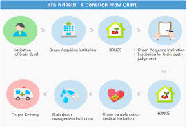 organ transplant management department