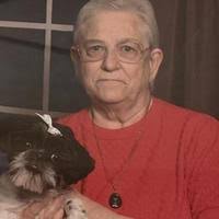 9265218_fbs.jpg?cb=20250625000401