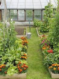 Amazing Ideas To Intercropping Vegetables And Flowers Together My Desired Home Vegetable Garden Design Garden Planning Garden Layout