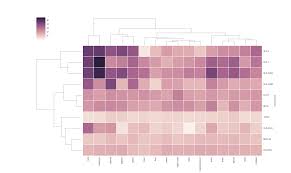 Image result for bioinformatics heatmap