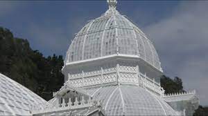 Conservatory of flowers on instagram: It May Be Closed To Visitors But San Francisco S Conservatory Of Flowers Keeps Operating Like A Machine Amid Covid 19 Pandemic Abc7 San Francisco