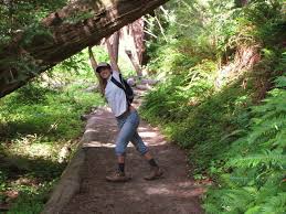 Holding Up Redwood Trees On The California Coastline Just A Normal Day For This Future Wildlife Caretaker Bestj California Coastline Redwood Tree Australia