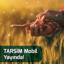 Tarsim