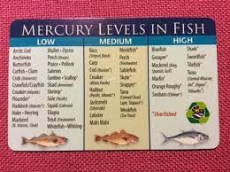 Mercury Levels In Fish Low Mercury Fish Pescatarian Diet Pescetarian Diet