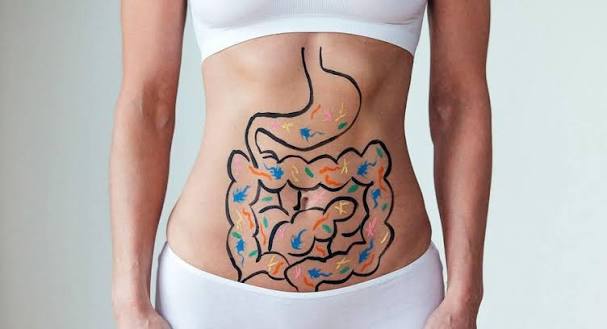 Những thông tin thú vị xoay quanh hệ tiêu hóa ở người bạn đã biết chưa?