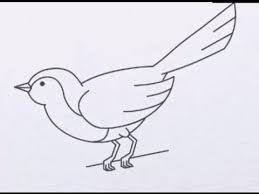 resultat de recherche d images pour تعليم رسم الحيوانات بالقلم الرصاص multiplication