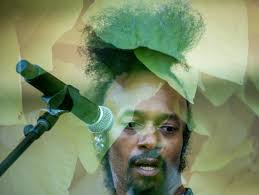 Cost to clean up Grant Park after Lollapalooza over $600K, the highest bill  since 2011's $1M restoration