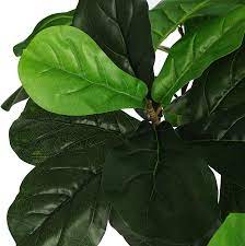 Buy Viagdo Artificial Fiddle Leaf Fig Tree 5ft Tall 66 Decorative Faux Fiddle Leaves Fake Fig Silk Tree In Pot Artificial Tree For Home Office Living Room Bathroom Corner Decor Indoor Online