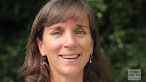 Video: Nature cares for us