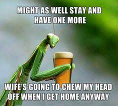 Funny one liners on alcohol. 100 Beer Jokes Puns Ideas Beer Beer Jokes Beer Humor