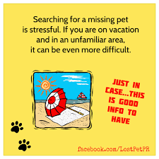 Pets Often Escape While Out Of Town Or On Vacation Plan Ahead And Make Sure They Are Wearing A Secure Harness Have Id Tags And Losing A Dog Losing A Pet