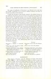 Image result for Pleioceras orientale