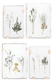 Il suffit de quelques verres de cadres et d'adhésif pour réaliser un mur de cadres unique en 3 étapes. Diy Cadre Entre Deux Verres Diy Herbier Faire Un Herbier Un Herbier Tendance Deco Tropicale Deco D Interieur Artisanale Presser De Fleurs Fleurs Pressees