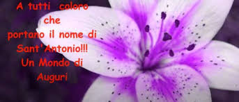 E' vero, l'essere colpiti vi stimola ancora di più a dimostrare il vostro valore, ma assicuratevi questa volta di avere davvero la strategia vincente. 13 Giugno Buon Onomastico Antonio E Antonella Le Piu Belle Immagini Video E Frasi Per Gli Auguri