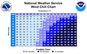 Image result for Wind Chill 2025 TX