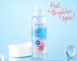 Yang aku beli ini shadenya light. Wardah Perfect Bright Micellar Water Vriske Skin Care Product